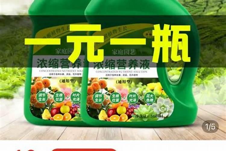 为什么花要施肥