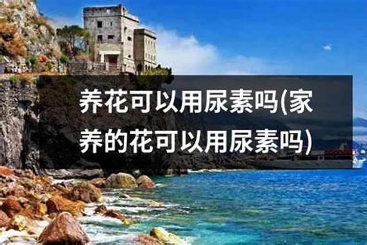 磷肥什么牌子好