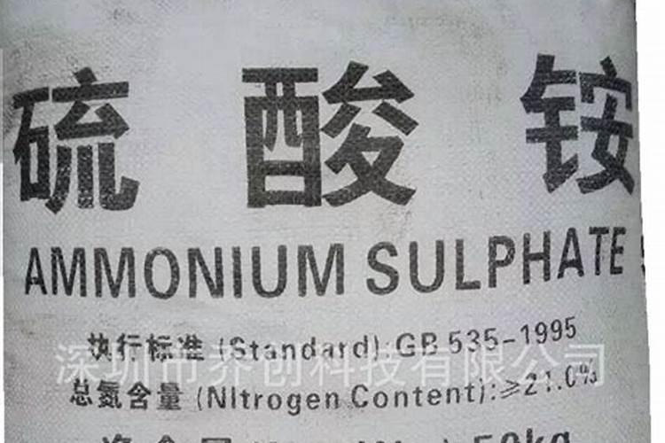 植物生根需要土壤干还是湿