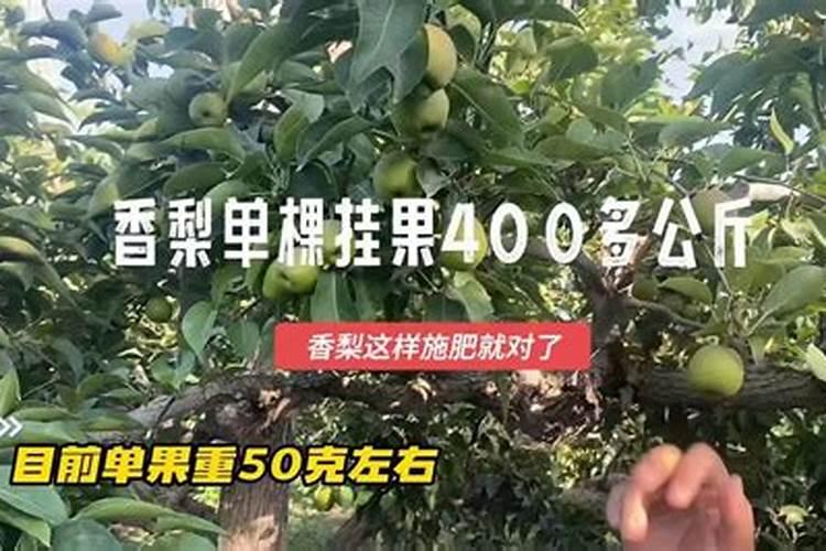 氮肥养花一克用多少水兑