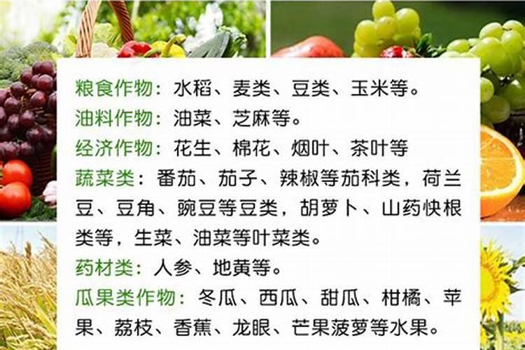 什么是碳氮比,掌握碳氮比在生产中有何作用？