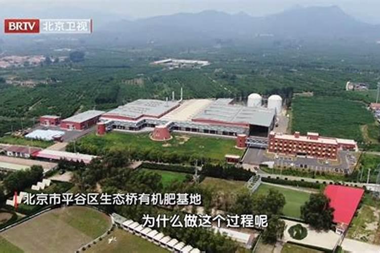 番茄长势不好怎么办,需要施什么肥料