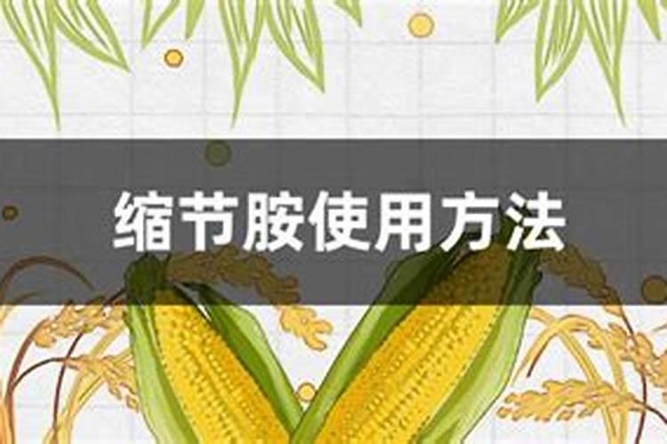 玉米控旺还 配什么药最好