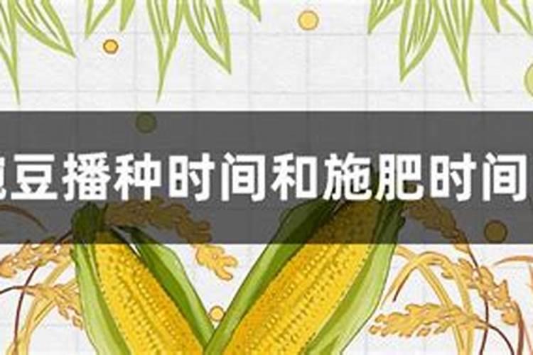 叶面肥加什么浇花最好用