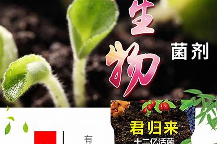 0.01%芸苔素的使用倍数