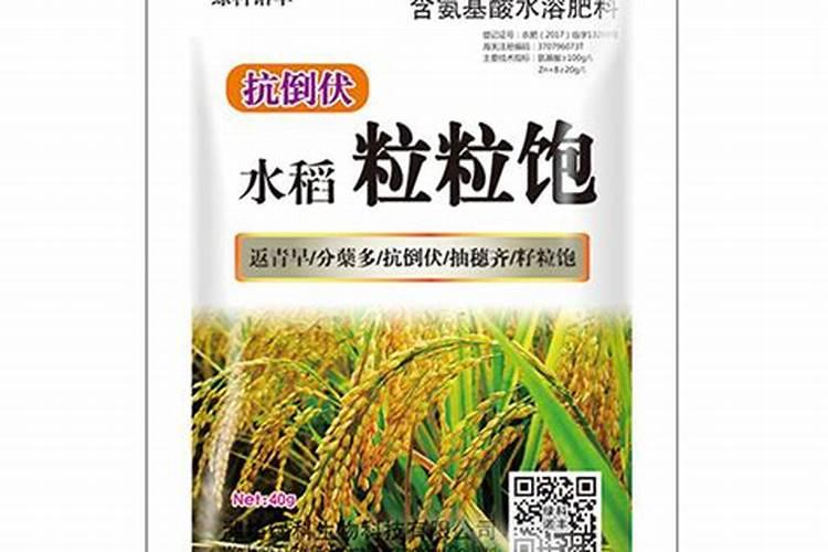 水溶肥施用方式有哪些,如何用效果好
