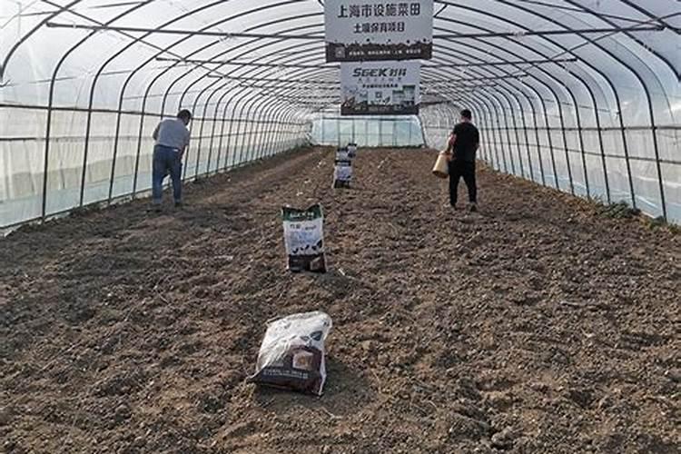 两种不同叶面肥可同时混用吗