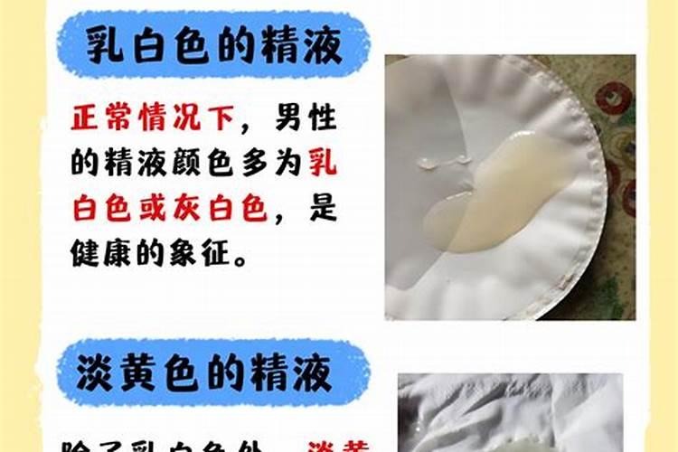 鱼白是什么？
