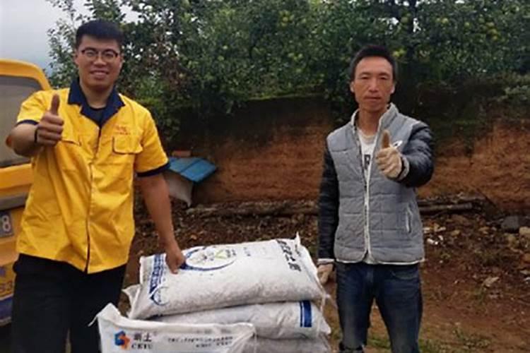 果树春肥什么时候施最好 春天果树施肥时间方法