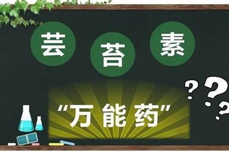 芸苔素内酯可以用于桂花吗？