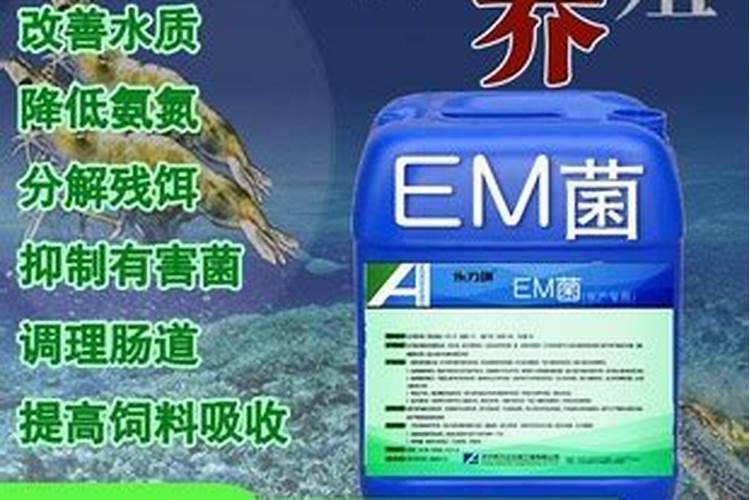 大棚甜瓜冲高钾水溶肥一亩冲多少合适瓜有鸡蛋大