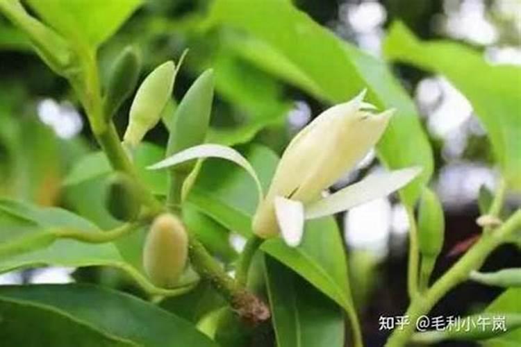 可杀得三千+复硝酚钠混+芸苔素内酯复配使用吗？