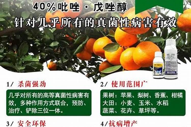 蝴蝶兰叶子黄了也掉了怎么办