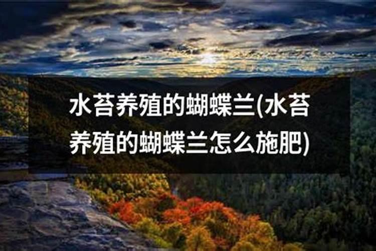 蝴蝶兰冬季老是冻死怎么办？三种办法教你解决