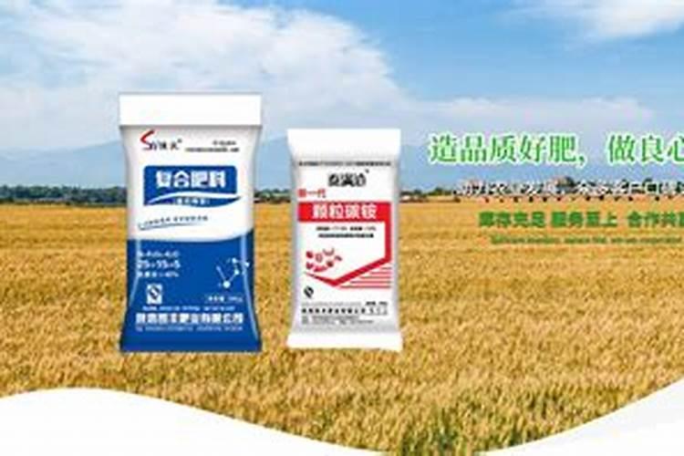 草莓苗种植多久能施肥 怎么施肥才能使草莓长势好