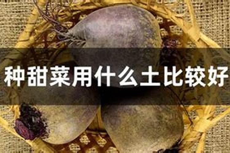 尿素可以当叶面肥使用吗？ 20%氰戊灭多威乳油高效杀死各种抗性害虫百度...