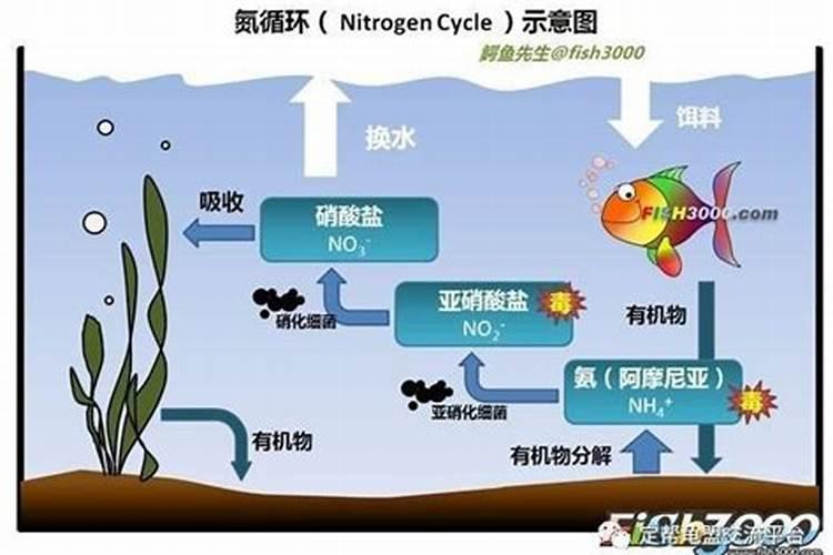 液氮是干什么用的 液态氮的危险性和使用须知