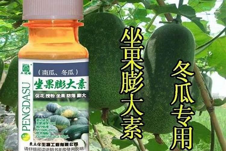 硅肥有哪些