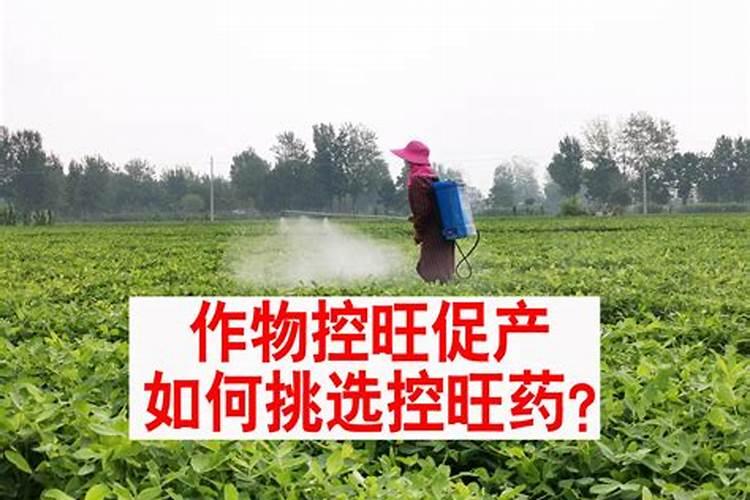 磷酸二氢钾的正确用法