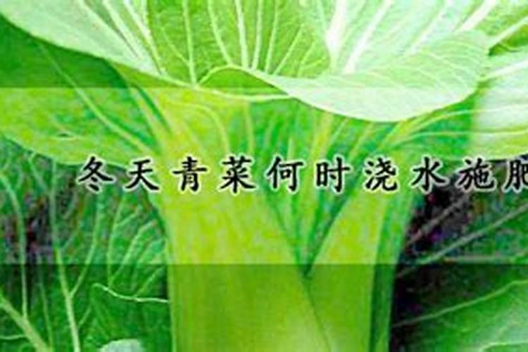 碳酸氢钠跟磷酸二氢钙反应有气体产生吗