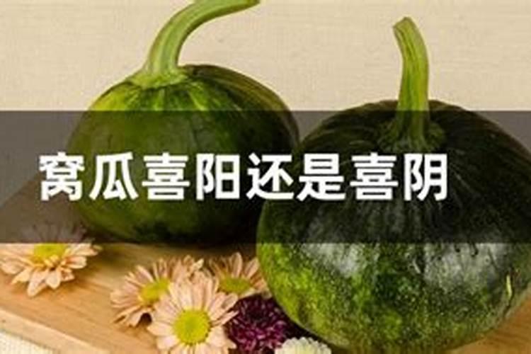 种植北瓜,结的北瓜开花长二寸长就不长然后的抽抽了什么问题？