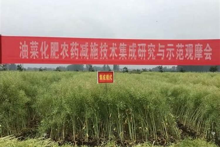 油菜怎样施化肥为最好花卉百科
