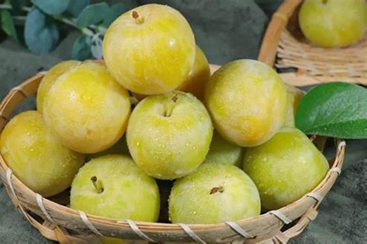 无花果打什么叶面肥好？施肥的最佳时间是什么时候？