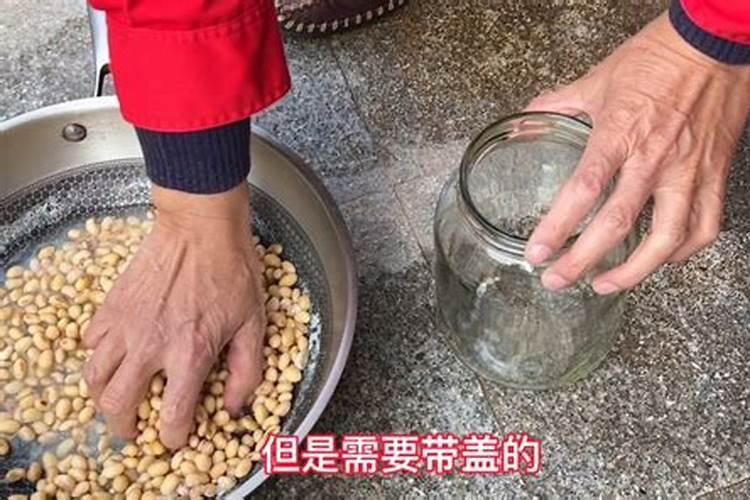 用大豆做底肥的使用方法 怎样用黄豆做肥料