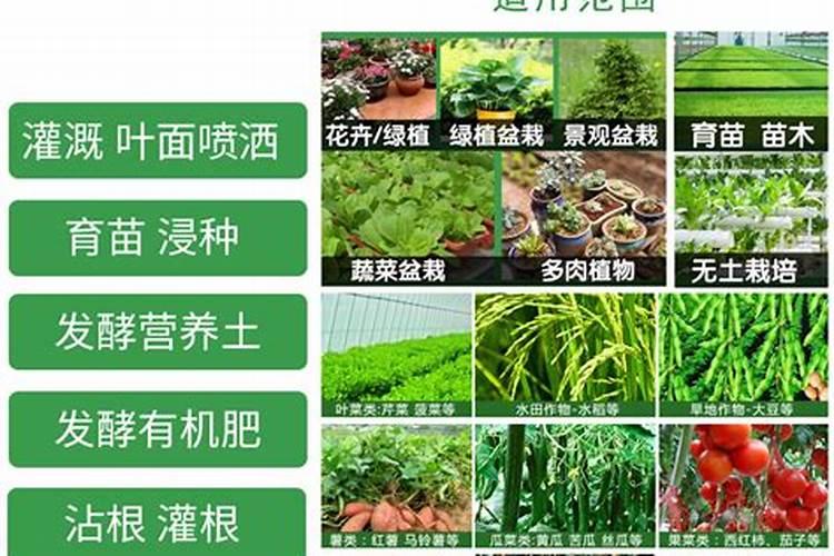 肥料增效剂哪个产品好