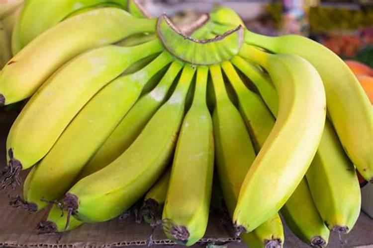 没挂果的柑橘施什么肥料更好？