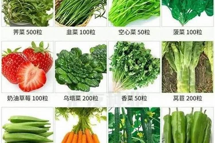 燕麦除草剂什么时候打