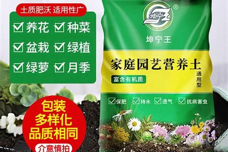 “它”无处不在很多人不在乎但是花农用它来养花不施肥依然长得很好...