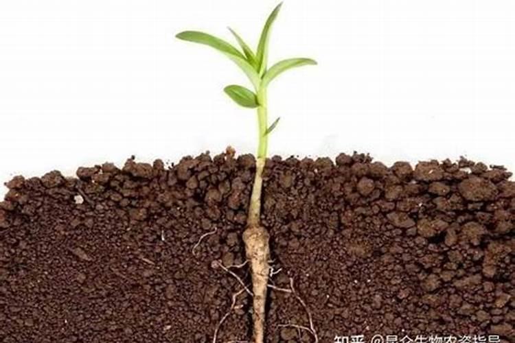 矿源黄腐酸、生化黄腐酸效果都一样？千万可别上当了!