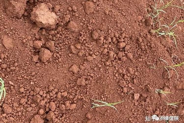 春雷王铜能与复合肥混配吗