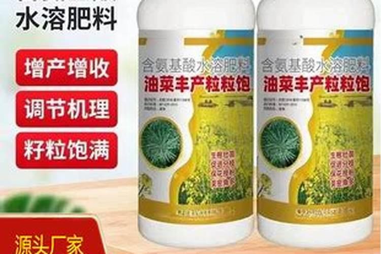 成都有什么特产可以带