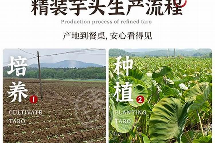 果树叶面肥喷施时间 叶面肥喷洒技巧