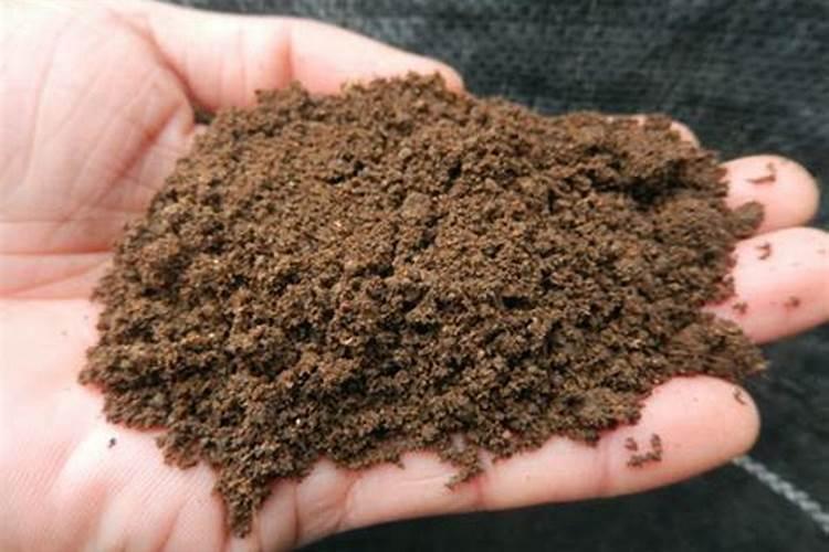 兔子粪便可以直接做肥料种花吗