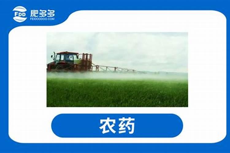 打药时候加一点尿素有什么作用(尿素能和农药掺在一起打吗)