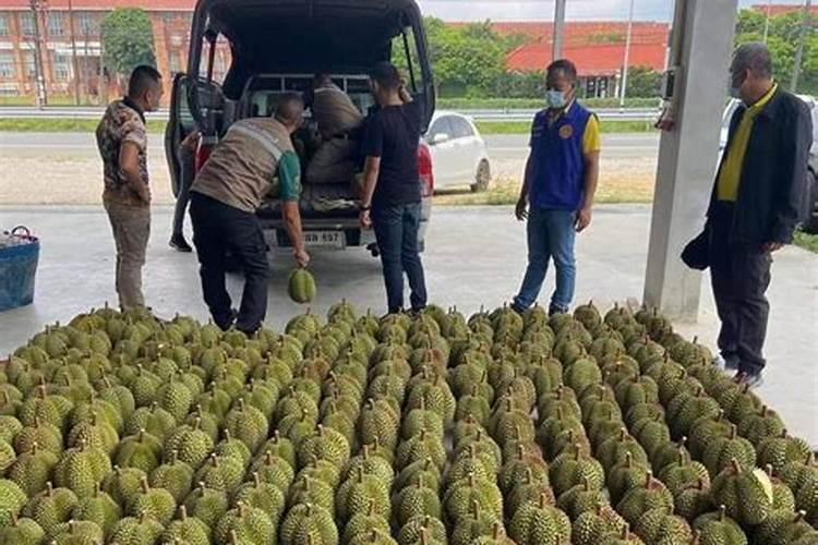 1000斤水可以配多少磷酸二氮钾喷八角树？