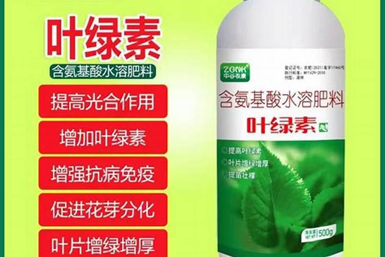 天脊硝酸磷肥80斤多少钱一袋