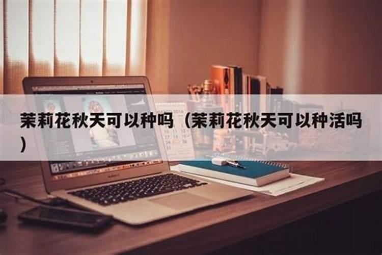 发财树施多少复合肥
