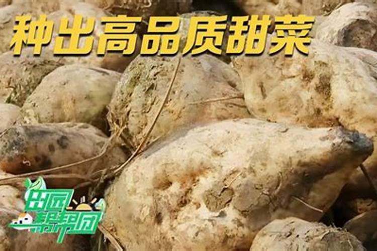 膨果最快的叶面水溶肥方法