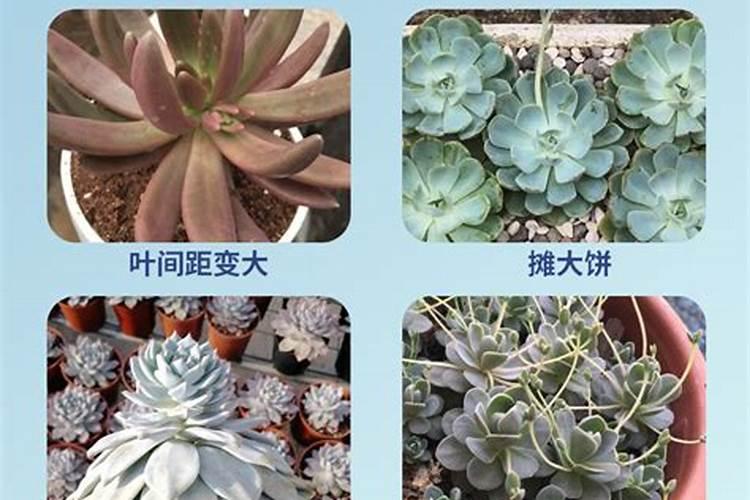 复合肥,氮肥,磷肥,钾肥有什么区别？