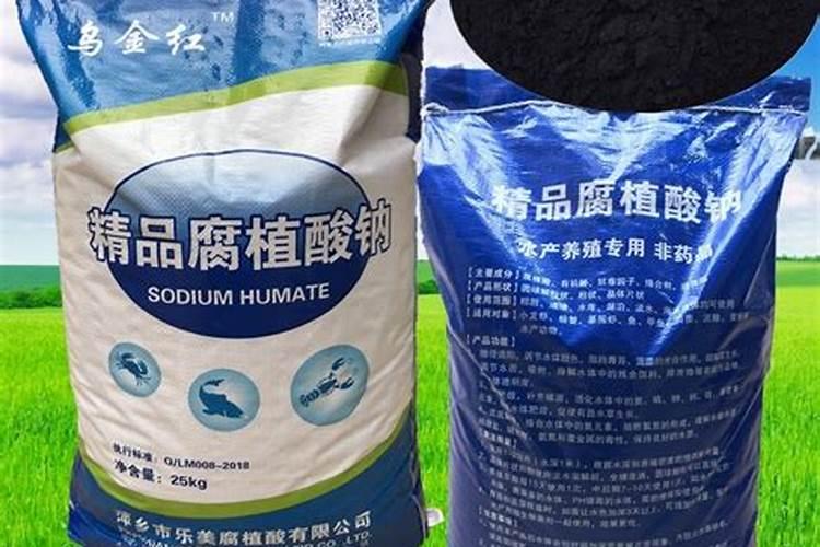 高温天气菜地何时浇水方法