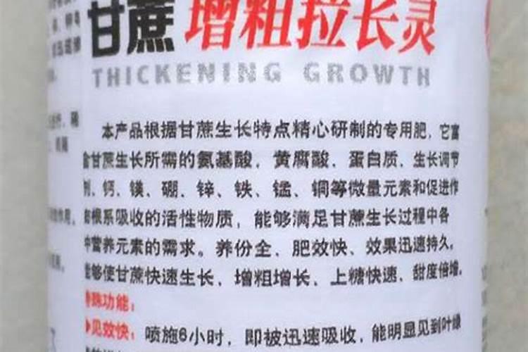 春兰什么时候开花 春兰怎么养护