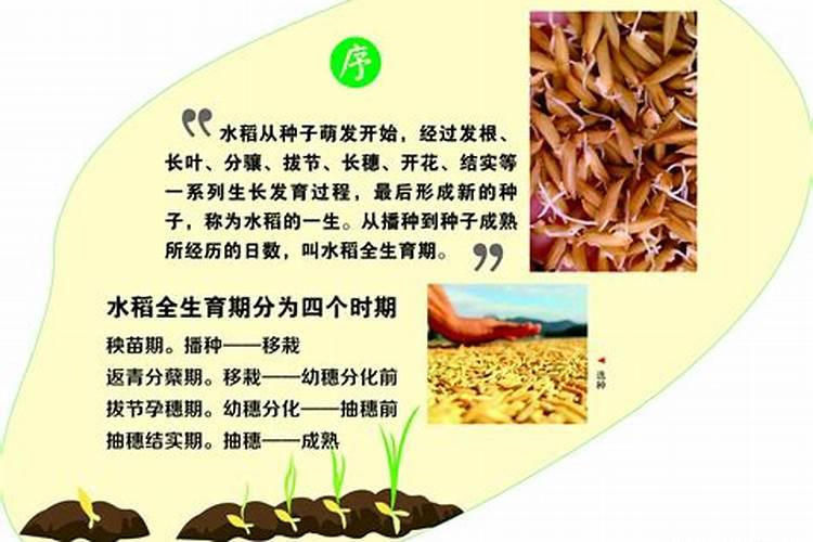 硫酸镁可以做肥料吗？