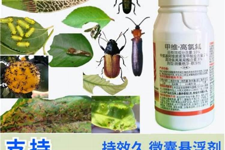 吡虫啉加高效氯氰菊酯能与叶面肥混用吗？