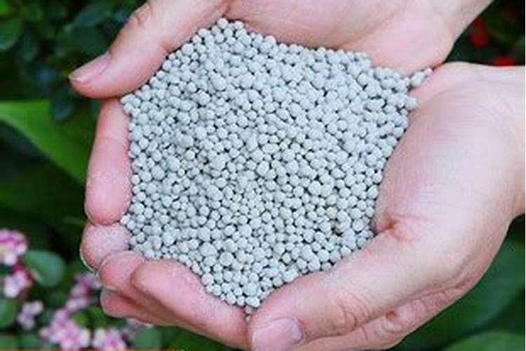 复合肥浇花怎么使用正确