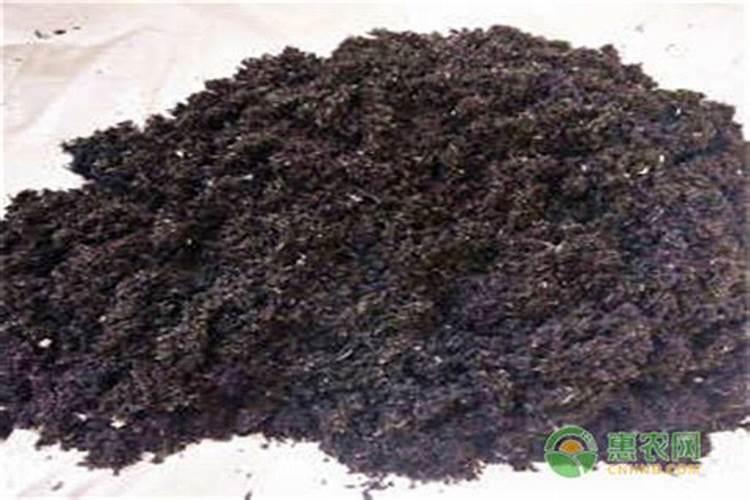 稻壳灰可以扮花土里吗