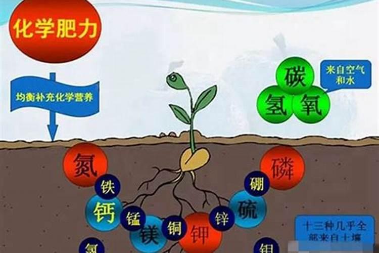 提高土壤肥力的措施